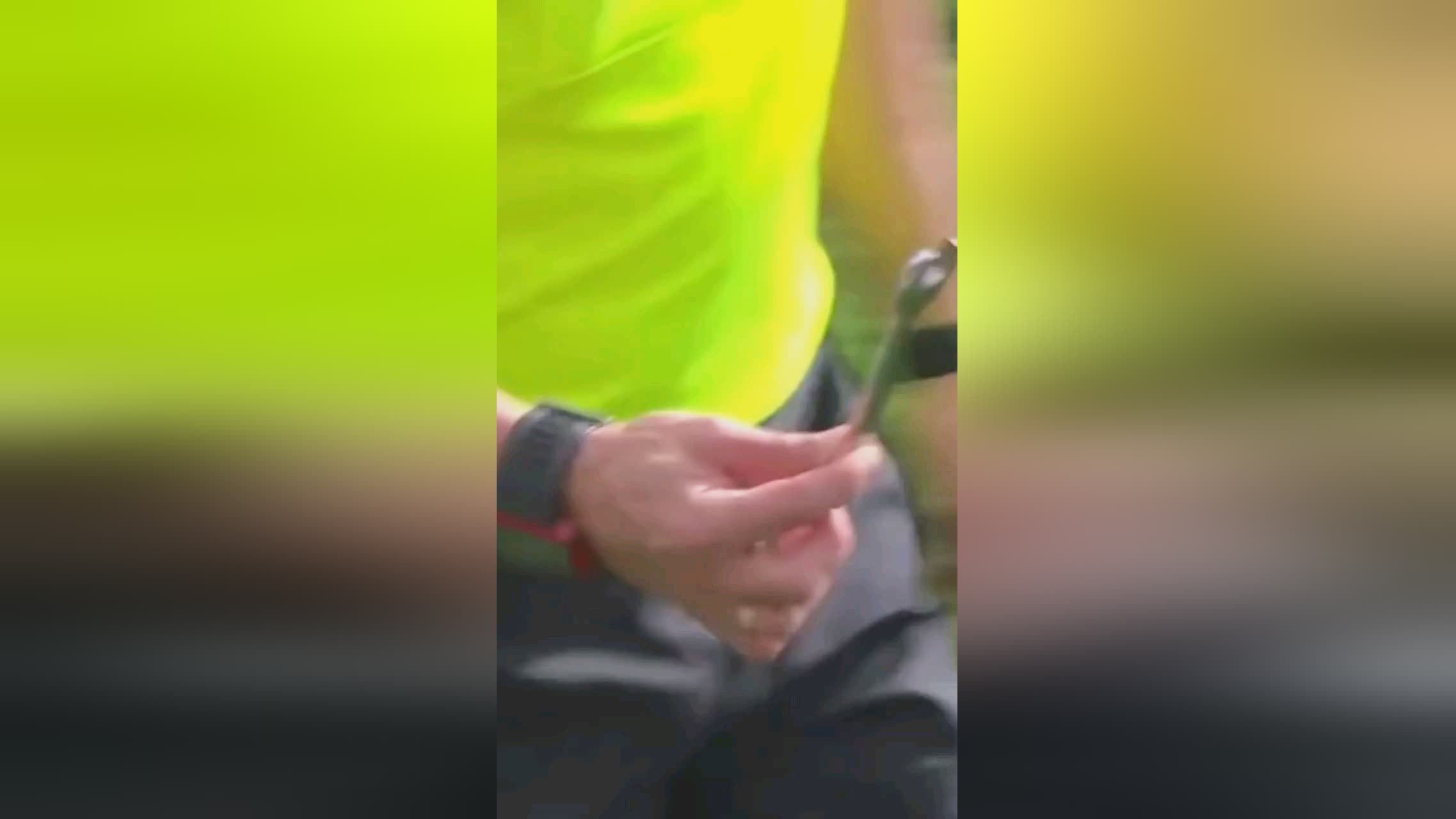 季走势的