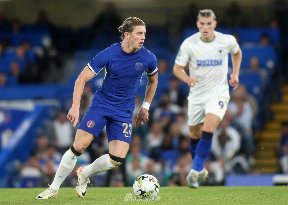 不仅验证了 不仅验证了